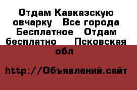 Отдам Кавказскую овчарку - Все города Бесплатное » Отдам бесплатно   . Псковская обл.